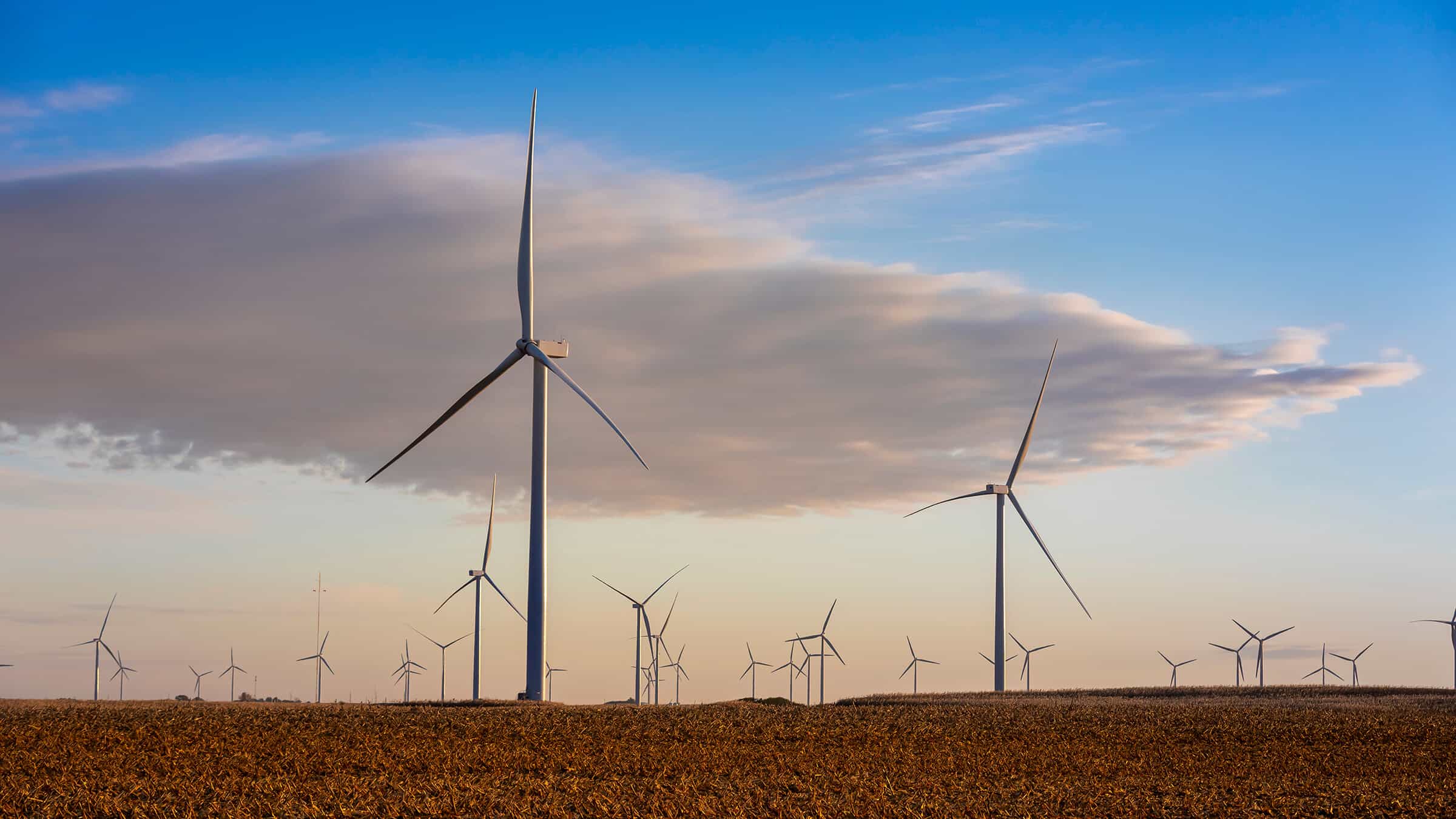 Renewable Energy Wind Turbines on Horizon