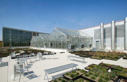 St. Olaf College - Regents Hall - Outdoor Patio Seating with Rooftop Gardens and Views of Greenhouses